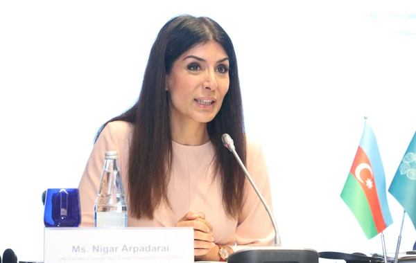 Nigar Arpadarai: Bakı İqlim Fəaliyyəti Həftəsi COP29 istiqamətində mühüm addımdır