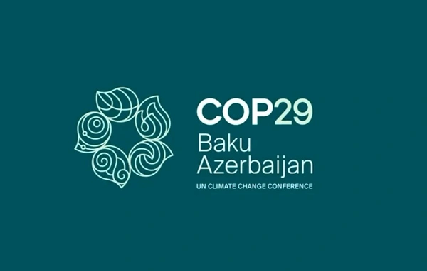 Azərbaycan COP29-un maliyyə öhdəlikləri ilə yanaşı digər faktiki əlavə xərcləri öz üzərinə götürür