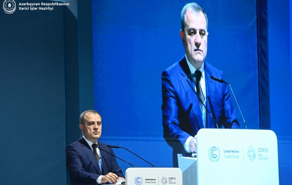 Nazir "Buzlaqlar-2025: Buzlaqların qorunması üçün qlobal tədbirlərin görülməsi" mövzusunda tədbirdə çıxış edib