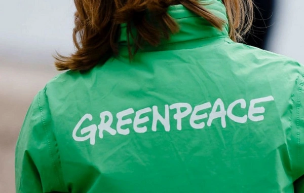 "Greenpeace" COP29-da inkişaf etməkdə olan ölkələrin maliyyələşdirilməsinin artırılmasına çağırır