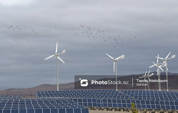 Cəbrayılda Şəfəq Günəş Elektrik Stansiyasının təməli qoyulub