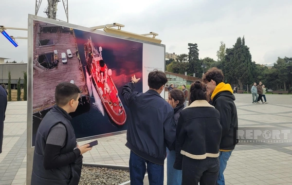 Bakıda Dəniz Növlərinin Beynəlxalq Müdafiəsi Sərgisi keçirilir