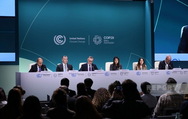 COP29-da İqlim və sağlamlıq üzrə Həmsədrlər Koalisiyası yaradıla bilər