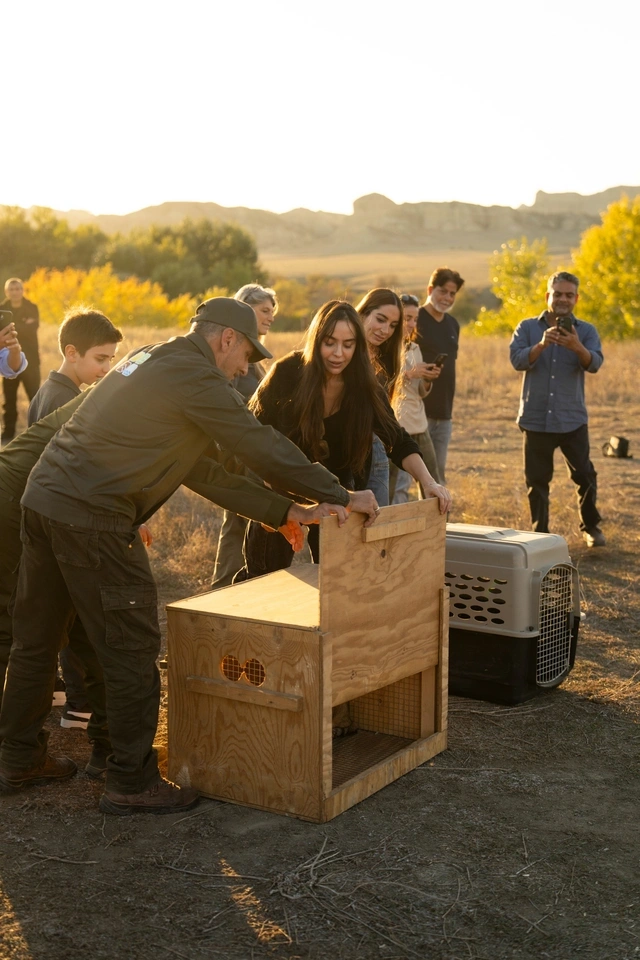 Leyla Əliyeva və Arzu Əliyeva Qaxda Axar-Baxar Milli Parkının açılış mərasimində iştirak ediblər Leyla Əliyeva və Arzu Əliyeva Qaxda Axar-Baxar Milli Parkının açılış mərasimində iştirak ediblər
