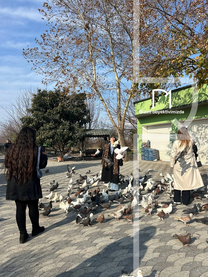 Halvaçılığdan ipəkçiliyə, tarixin rəngli pəncərələrinə - Şəki SƏFƏRİ