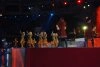 Exclusive! Евровидение-2008