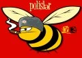 Gozel shekiller