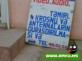 Milli Mirt :-)
