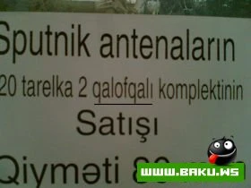 Milli Mirt :-)