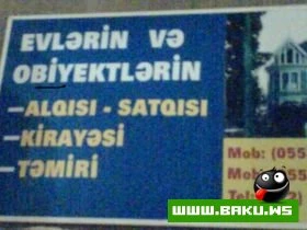 Milli Mirt :-)
