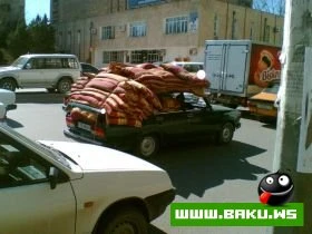 Milli Mirt :-)