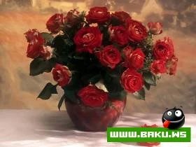Gozelliyi ile secilen Qizilgul