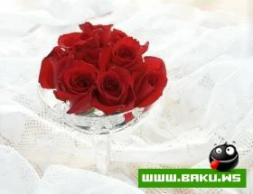 Gozelliyi ile secilen Qizilgul