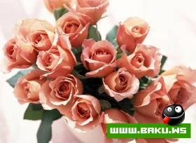 Gozelliyi ile secilen Qizilgul