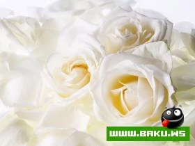 Gozelliyi ile secilen Qizilgul