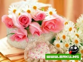 Gozelliyi ile secilen Qizilgul