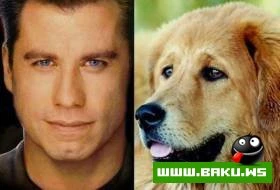Hollywood mehsurlari heyvan cildinde olsa nece olardi ???