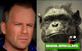 Hollywood mehsurlari heyvan cildinde olsa nece olardi ???