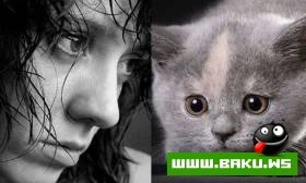Hollywood mehsurlari heyvan cildinde olsa nece olardi ???
