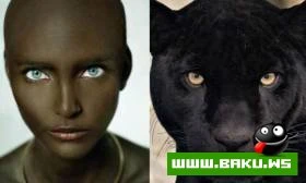 Hollywood mehsurlari heyvan cildinde olsa nece olardi ???