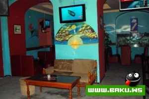 Night Club - Bermuda