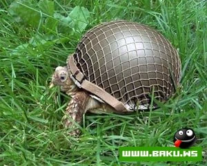 Menalı ve ya Menasız Şekiller ?!