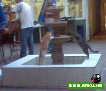 Yalnız Bizde ve Sizde :)