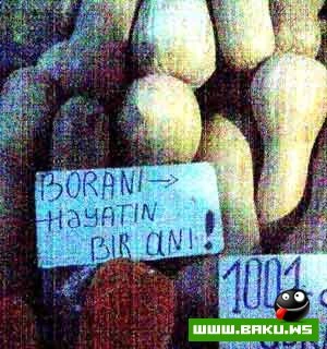 Milli Guluş :)