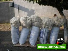 Lenkeranin Gozel Goruntuleri