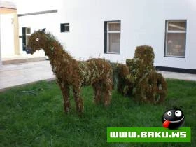 Lenkeranin Gozel Goruntuleri