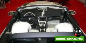 Brilliant Mercedes CL 500