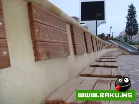 Yeni Park, Icra Hakimiyyeti ve Muzey