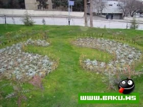 Yeni Park, Icra Hakimiyyeti ve Muzey
