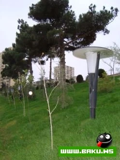 Yeni Park, Icra Hakimiyyeti ve Muzey