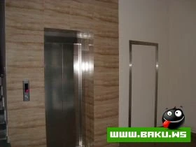 Yeni Park, Icra Hakimiyyeti ve Muzey