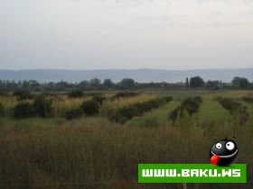 Qax rayonunun Tebieti