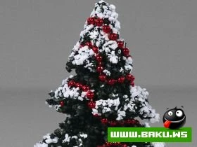 Yeni il [Shekil Toplusu]