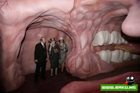 Insan Orqanlarinin Muzeyi