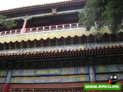 Chin Seferi