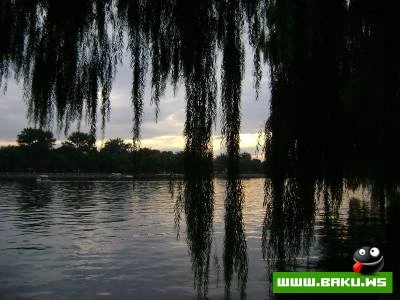 Chin Seferi