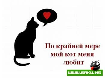 Подборка анти-валентинок (16 фото)