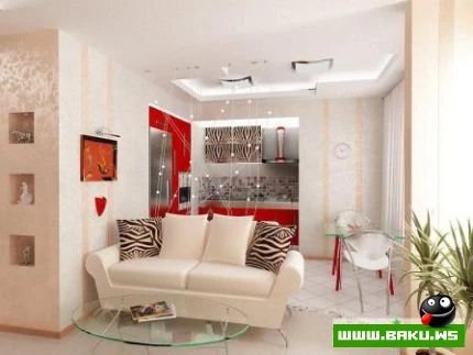 Müxtəlif ev dizaynları