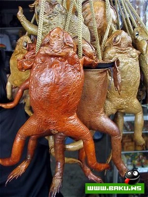 Oригинальные сумки