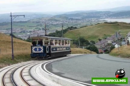 Muasir Trolleybus ve Tramvaylar