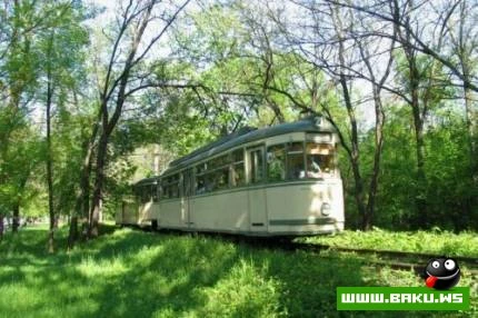 Muasir Trolleybus ve Tramvaylar
