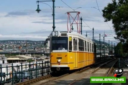 Muasir Trolleybus ve Tramvaylar