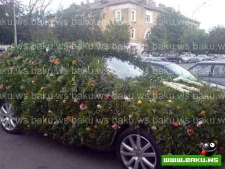 Milli Tuning :)