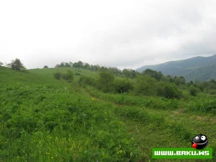 Azərbaycanın daha bir gözəl diyarı Göygöl