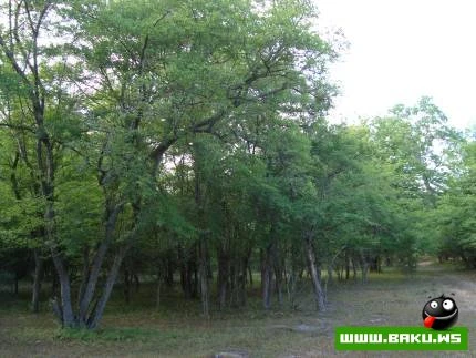 Nabran Təbiəti
