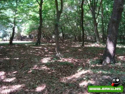 Nabran Təbiəti